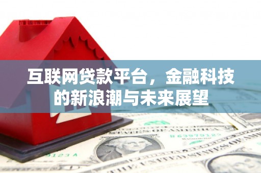 盐埔互联网贷款平台，金融科技的新浪潮与未来展望