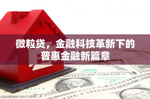 盐埔微粒贷，金融科技革新下的普惠金融新篇章