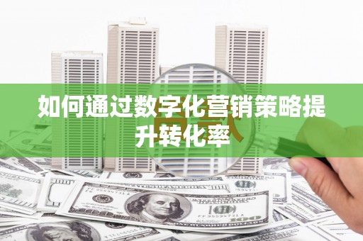 盐埔如何通过数字化营销策略提升转化率
