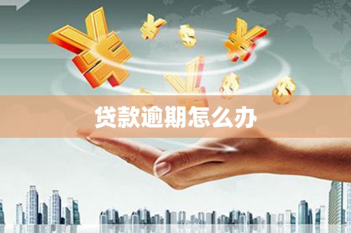 盐埔贷款逾期怎么办