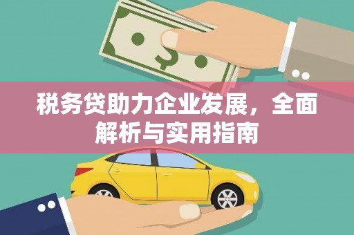 盐埔税务贷助力企业发展，全面解析与实用指南