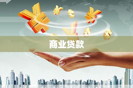 盐埔商业贷款