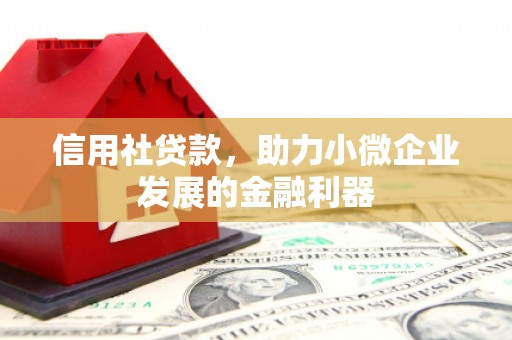 盐埔信用社贷款，助力小微企业发展的金融利器