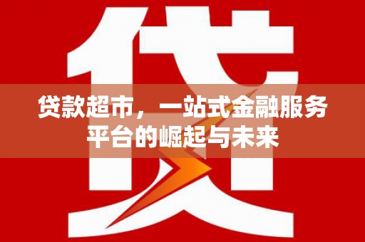 盐埔贷款超市，一站式金融服务平台的崛起与未来