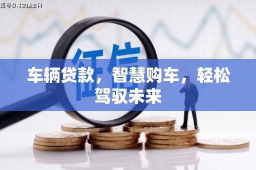 盐埔车辆贷款，智慧购车，轻松驾驭未来