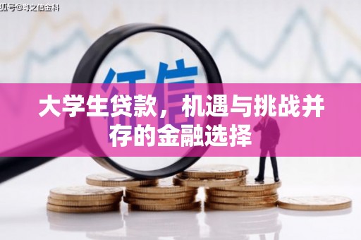 盐埔大学生贷款，机遇与挑战并存的金融选择