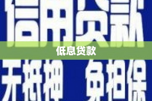 盐埔低息贷款