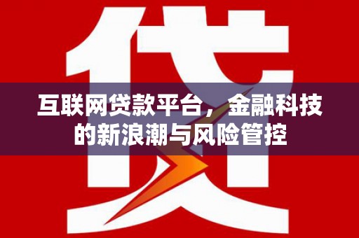 盐埔互联网贷款平台，金融科技的新浪潮与风险管控