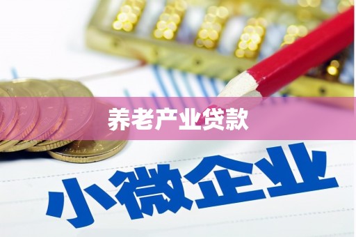 盐埔养老产业贷款