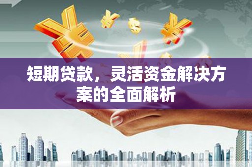 盐埔短期贷款，灵活资金解决方案的全面解析