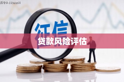 盐埔贷款风险评估
