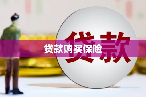 盐埔贷款购买保险
