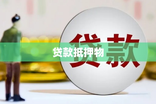 盐埔贷款抵押物