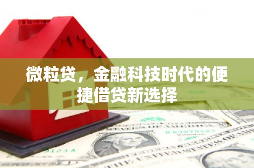 盐埔微粒贷，金融科技时代的便捷借贷新选择