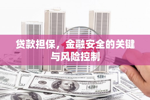 盐埔贷款担保，金融安全的关键与风险控制