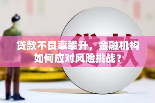 盐埔贷款不良率攀升，金融机构如何应对风险挑战？