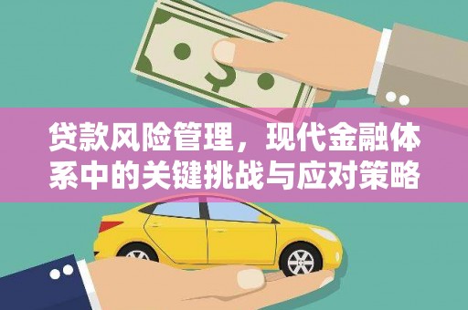 盐埔贷款风险管理，现代金融体系中的关键挑战与应对策略