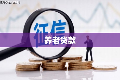 盐埔养老贷款