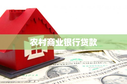 盐埔农村商业银行贷款