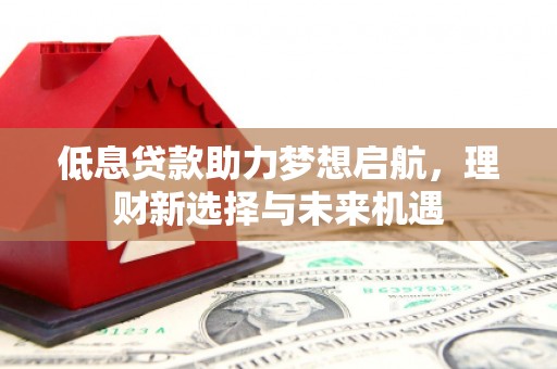 盐埔低息贷款助力梦想启航，理财新选择与未来机遇