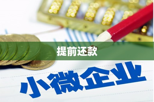 盐埔提前还款