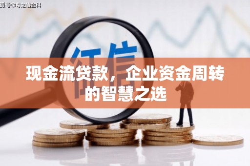 盐埔现金流贷款，企业资金周转的智慧之选