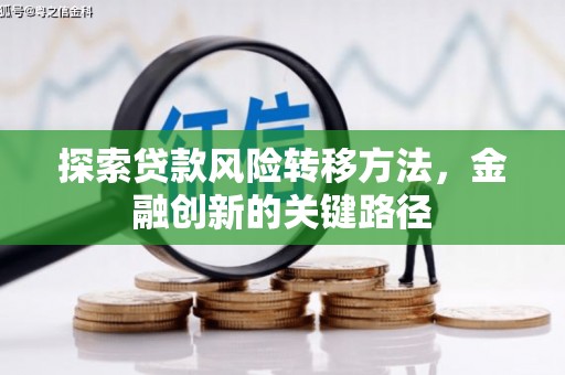 盐埔探索贷款风险转移方法，金融创新的关键路径