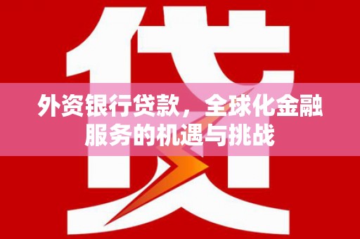盐埔外资银行贷款，全球化金融服务的机遇与挑战