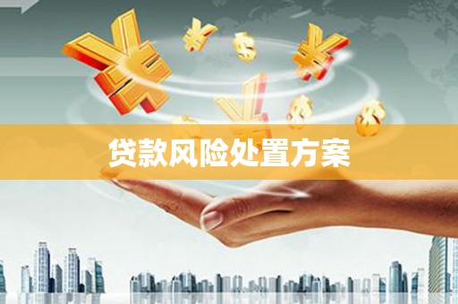 盐埔贷款风险处置方案