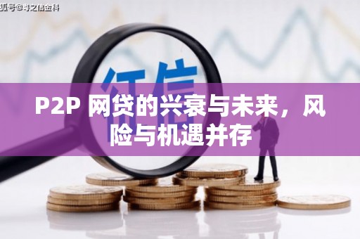 盐埔P2P 网贷的兴衰与未来，风险与机遇并存