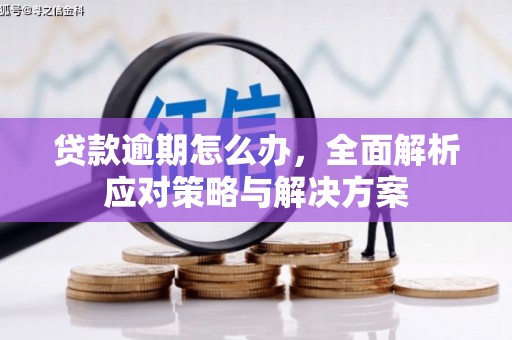 盐埔贷款逾期怎么办，全面解析应对策略与解决方案
