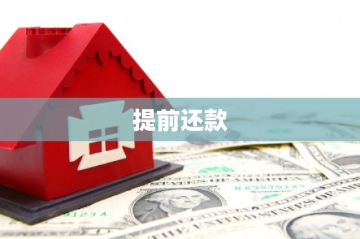 盐埔提前还款