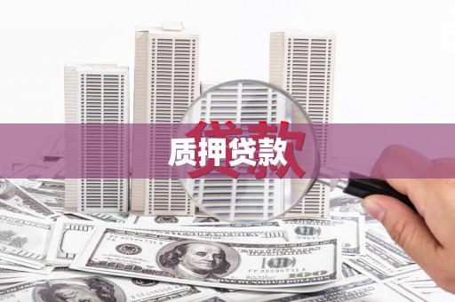 盐埔质押贷款