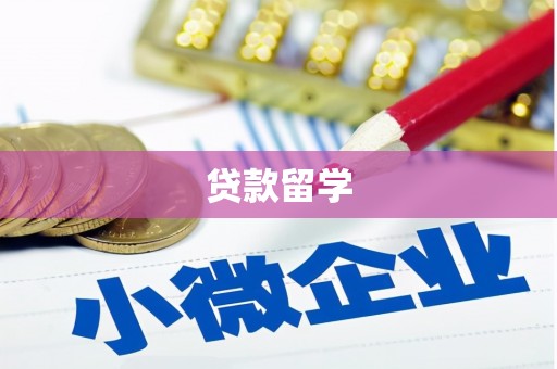 盐埔贷款留学