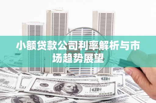 盐埔小额贷款公司利率解析与市场趋势展望