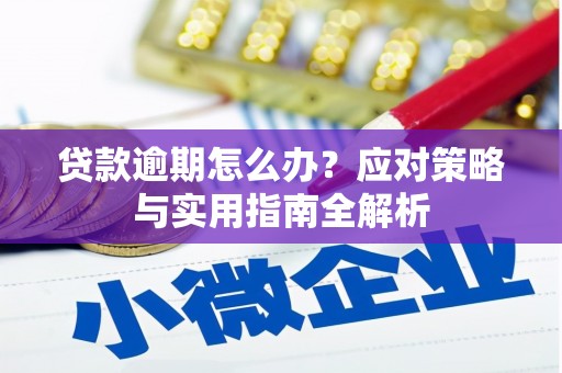 盐埔贷款逾期怎么办？应对策略与实用指南全解析