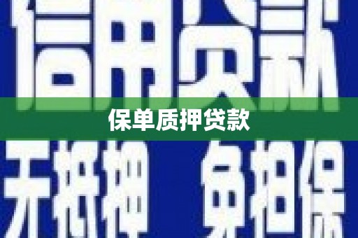 盐埔保单质押贷款