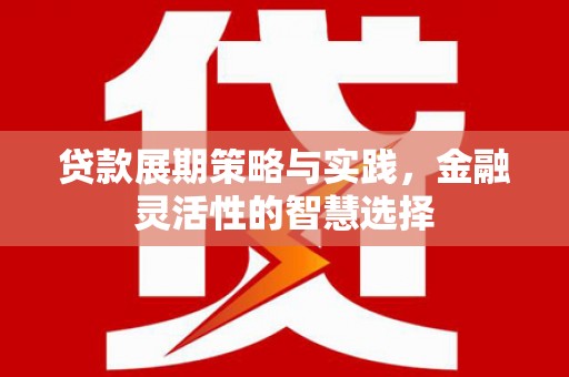 盐埔贷款展期策略与实践，金融灵活性的智慧选择