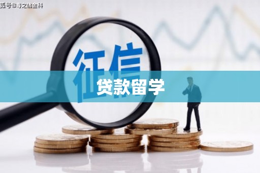 盐埔贷款留学