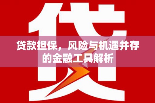 盐埔贷款担保，风险与机遇并存的金融工具解析