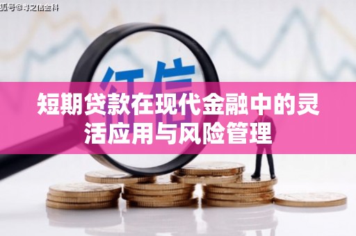 盐埔短期贷款在现代金融中的灵活应用与风险管理
