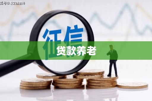 盐埔贷款养老