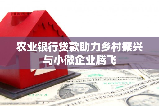 盐埔农业银行贷款助力乡村振兴与小微企业腾飞