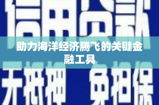 盐埔助力海洋经济腾飞的关键金融工具