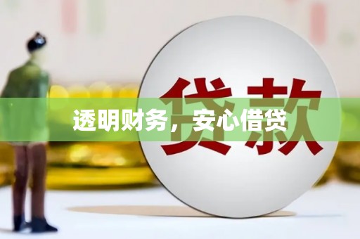 盐埔透明财务，安心借贷