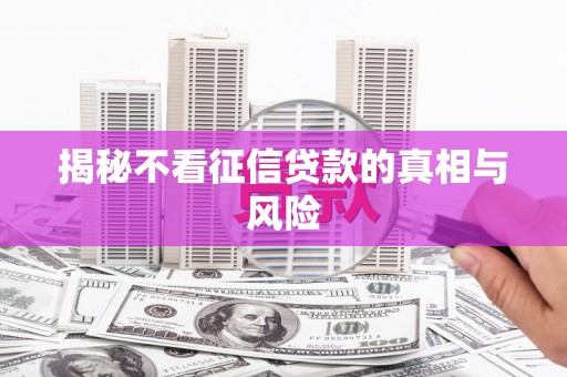 盐埔揭秘不看征信贷款的真相与风险