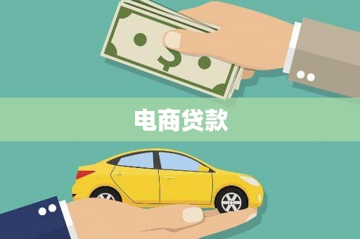 盐埔电商贷款