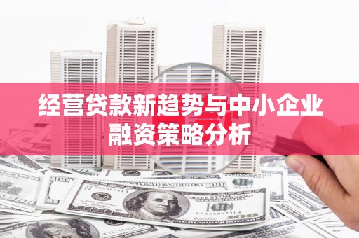 盐埔经营贷款新趋势与中小企业融资策略分析