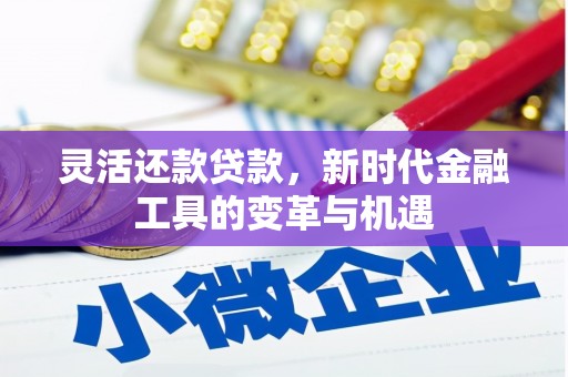 盐埔灵活还款贷款，新时代金融工具的变革与机遇