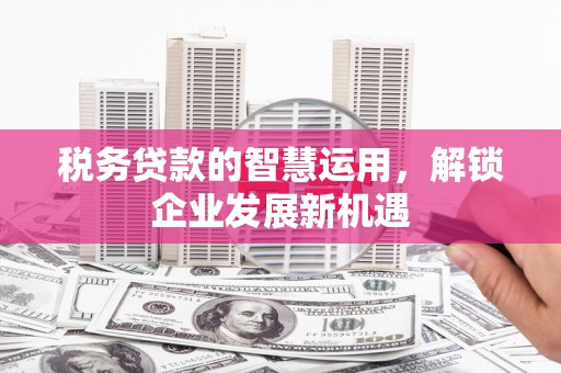 盐埔税务贷款的智慧运用，解锁企业发展新机遇